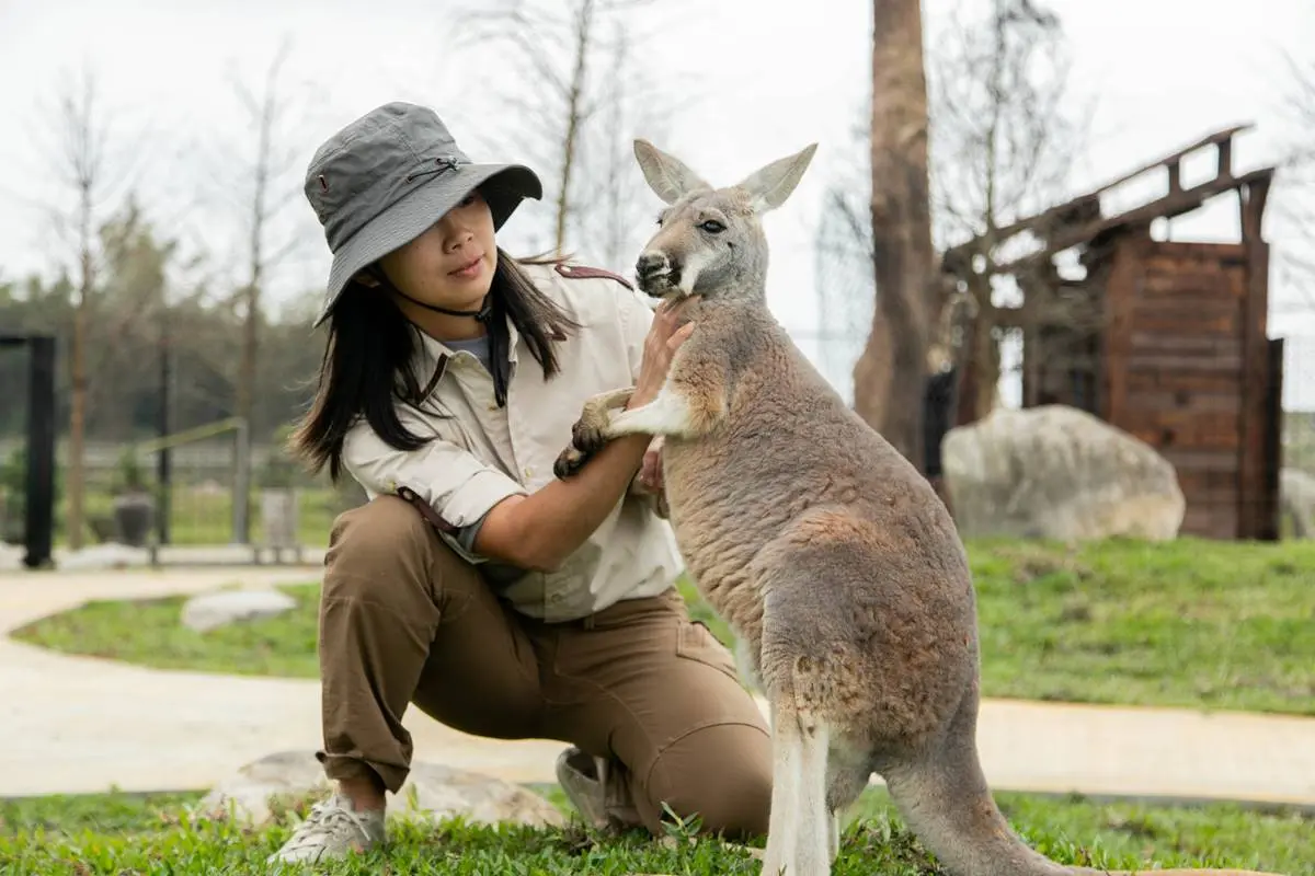 宜蘭全新破千坪動物園!對身分證「這類人」100元玩翻,唯一餵澳洲袋鼠體驗 宜蘭全新破千坪動物園!對身分證「這類人」100元玩翻,唯一餵澳洲袋鼠體驗