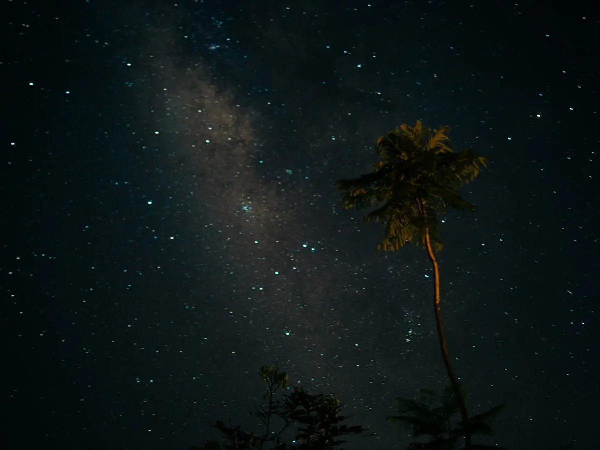 入住玻璃屋享無死角美景！開箱花蓮清水模民宿，入夜肉眼就能看到銀河