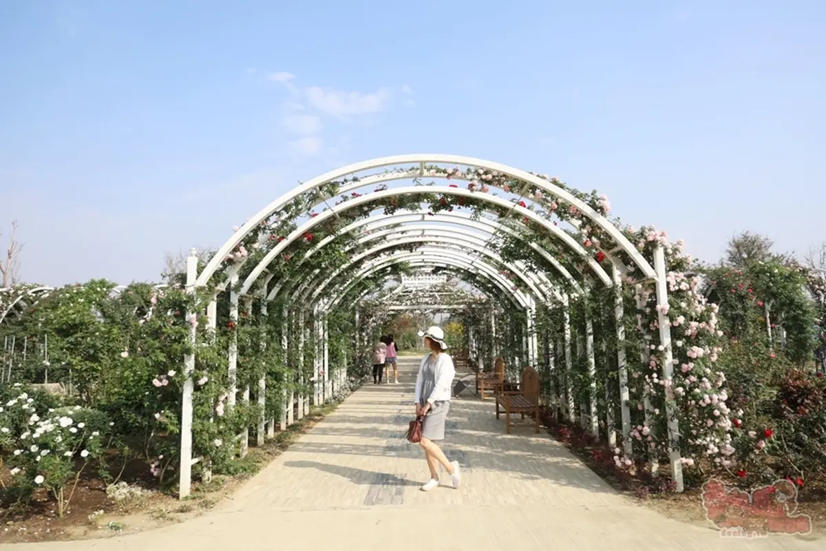 【新開店】台南版小人國!全新「免門票觀光工廠」搶拍千坪玫瑰園、壯觀瀑布 【新開店】台南版小人國!全新「免門票觀光工廠」搶拍千坪玫瑰園、壯觀瀑布