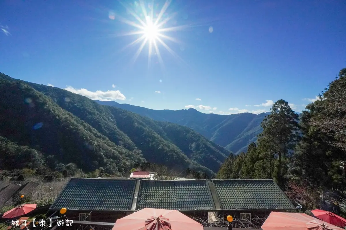 北部最大櫻花王在這!拉拉山小木屋窗景無敵,450元爽嗑專屬合菜 北部最大櫻花王在這!拉拉山小木屋窗景無敵,450元爽嗑專屬合菜