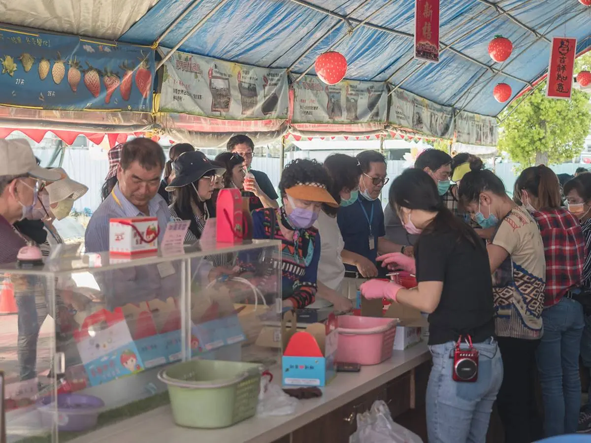 草莓季快衝！全台９家「免門票草莓園」：挑戰最大白草莓園、打卡免費吃冰