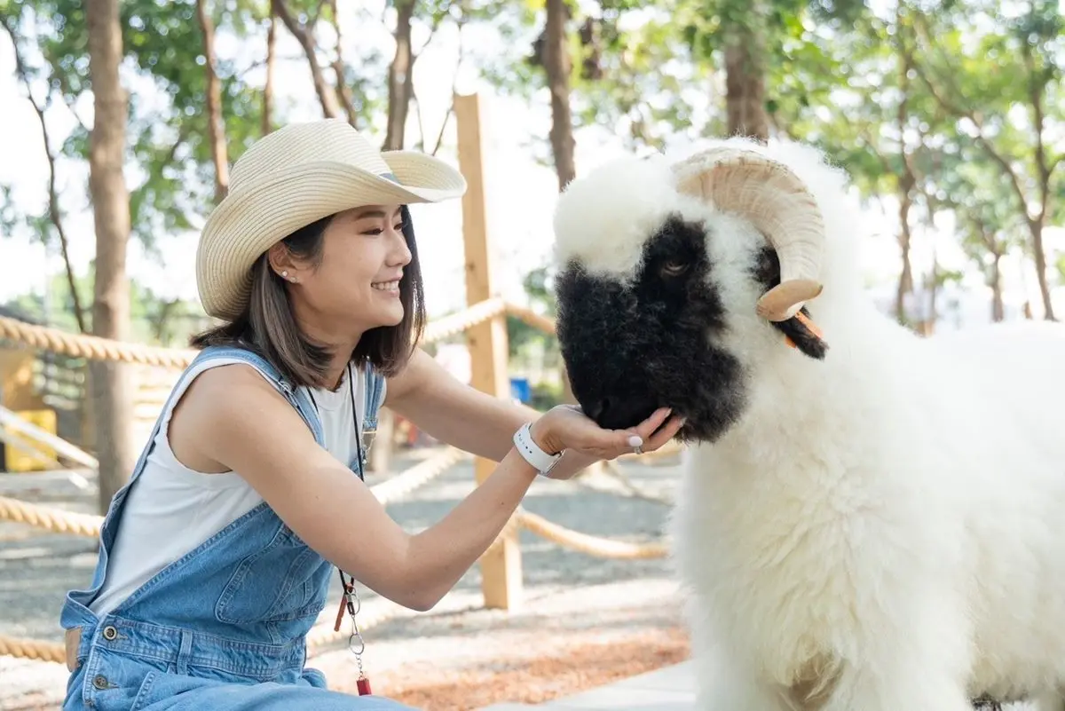 全台首座衝浪水樂園!6月開幕限時優惠買大送小、送笑笑羊園區門票 【新開店】嘉義最新「森林動物樂園」!餵軟萌笑笑羊、水豚,高空滑索超刺激