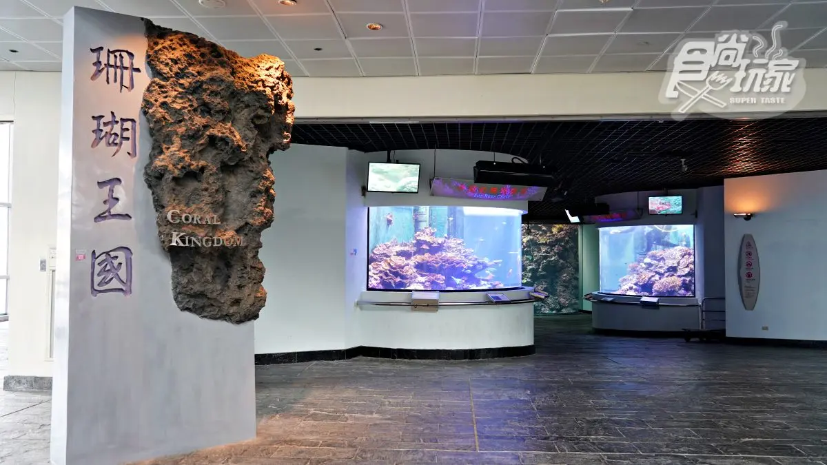 魚魚、小白鯨陪睡!2天1夜「夜宿海生館」行程:7大最美就寢區、夜間探險 魚魚、小白鯨陪睡!2天1夜「夜宿海生館」行程:7大最美就寢區、夜間探險