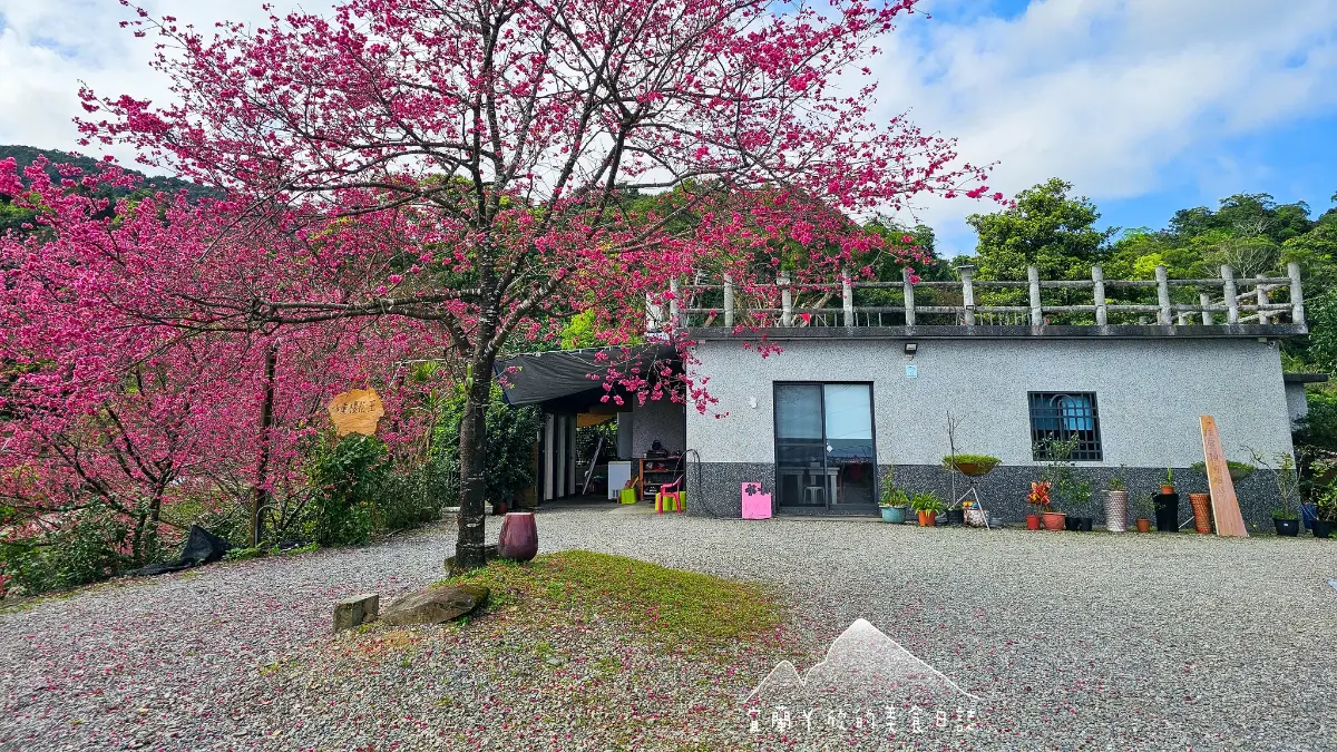 【新開店】月底前免費入園!宜蘭賞櫻祕境露營區,穿浴衣拍鳥居秒飛日本 【新開店】月底前免費入園!宜蘭賞櫻祕境露營區,穿浴衣拍鳥居秒飛日本