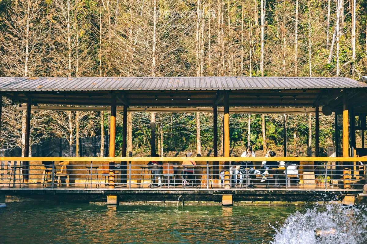 【新開店】昭和風祕境藏日月潭森林！落羽松湖畔座位美翻，山泉水咖啡超甘甜