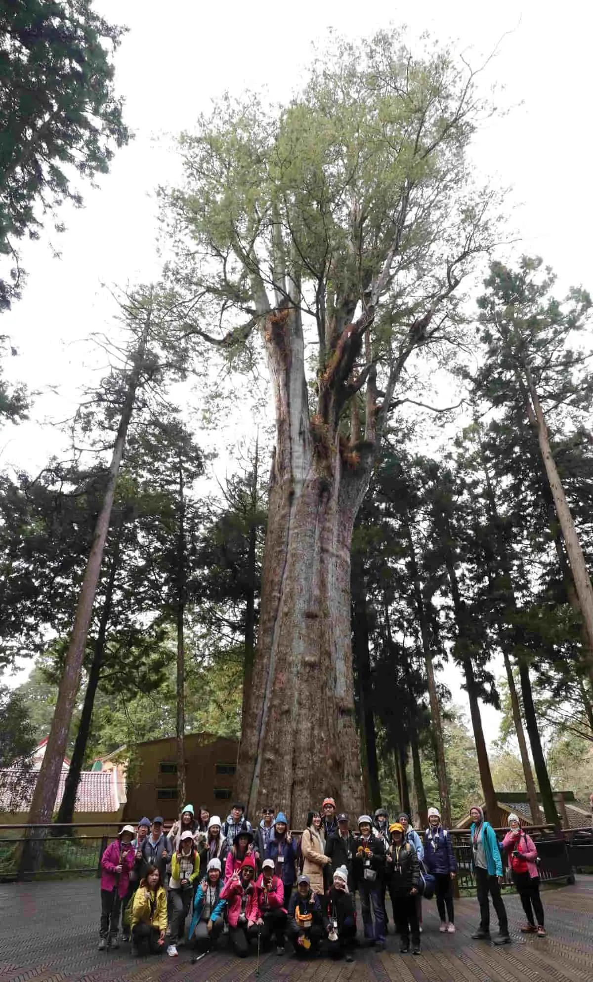 「微笑星空」美翻!超難搶觀星體驗營「這天」開放報名,梯次、費用一次看 「微笑星空」美翻!超難搶觀星體驗營「這天」開放報名,梯次、費用一次看