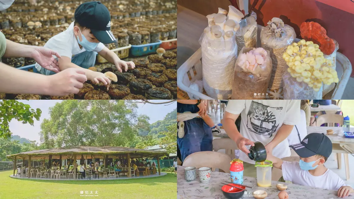 台中室內景點「新社百菇莊」，可以體驗採香菇、做茶碗蒸等有趣活動。