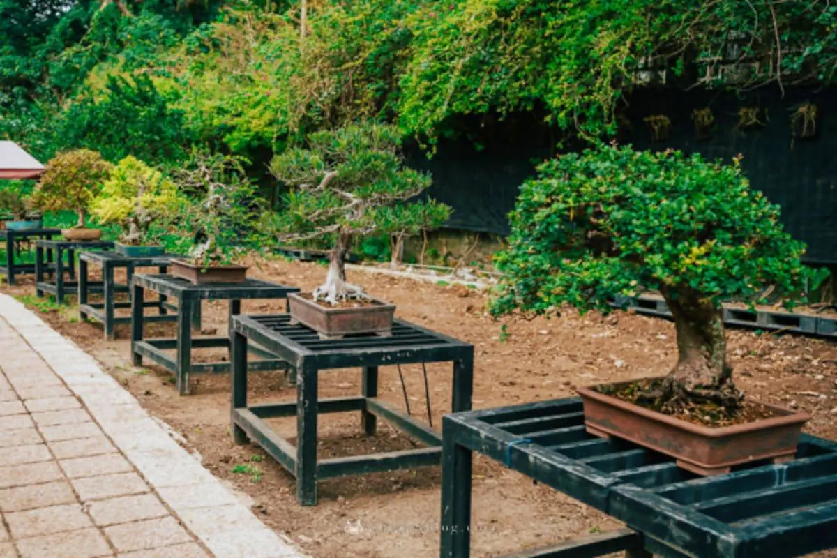 超過20種動物萌翻！桃園「萬坪親子莊園」最低100元爽玩，還有超放電遊樂場
