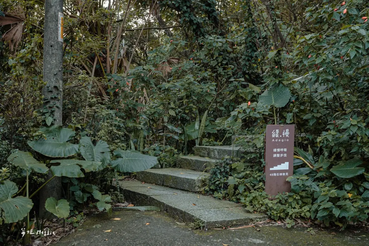 山海美景在眼前!入住金瓜石森林民宿放空,還能挑命定香氛、嘗無菜單料理 山海美景在眼前!入住金瓜石森林民宿放空,還能挑命定香氛、嘗無菜單料理
