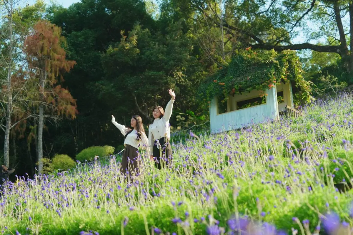 限時２天免費入園！薰衣草森林繡球花季登場，做「這事」再享霜淇淋買一送一