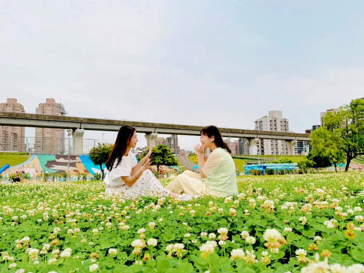 破1.5萬坪免費拍爆！白花三葉草花海藏「全台最大河濱公園」，宛如雪景超夢幻