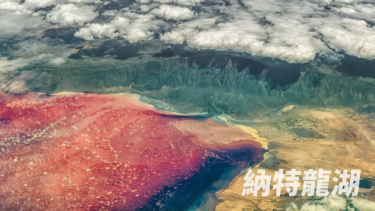前400位免費看電影!衝「5D飛行劇院」秒到非洲,撒哈拉沙漠、尼羅河近在眼前公布 (中獎公布) 前400位免費看電影!衝「5D飛行劇院」秒到非洲,撒哈拉沙漠、尼羅河近在眼前公布 (中獎公布)