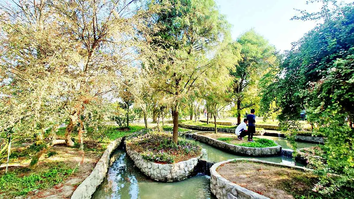 「全台最大玫瑰園」重新開放！千坪花園、南部版小人國、熱帶雨林免費逛到飽