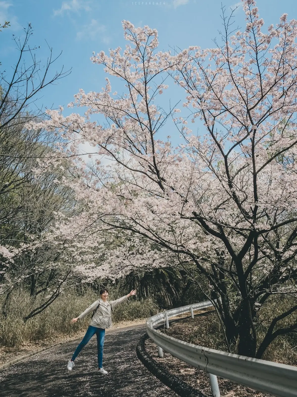岡山「隱藏版遊樂園」!4樓高踩腳踏車賞海景、還有站著玩的雲霄飛車 岡山「隱藏版遊樂園」!4樓高踩腳踏車賞海景、還有站著玩的雲霄飛車