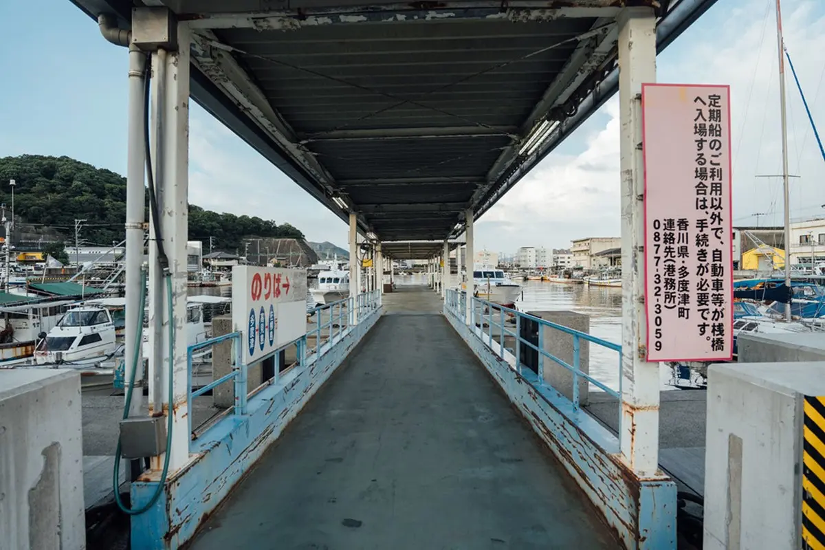 「飛天小貓」避世貓咪天堂島!超親人喵喵竟給抱,還會霸占公廁睡大覺 「飛天小貓」避世貓咪天堂島!超親人喵喵竟給抱,還會霸占公廁睡大覺