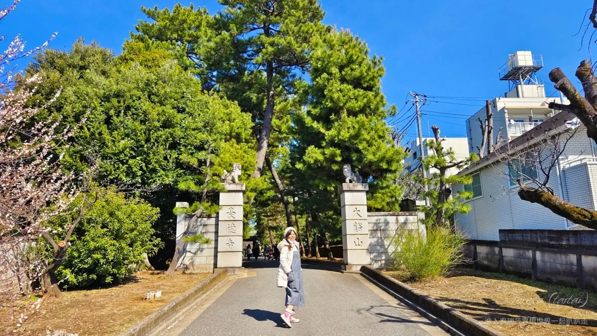 來這發財保平安!東京「招財貓發源地」免費拍到飽,還能請回台灣旺家運 來這發財保平安!東京「招財貓發源地」免費拍到飽,還能請回台灣旺家運