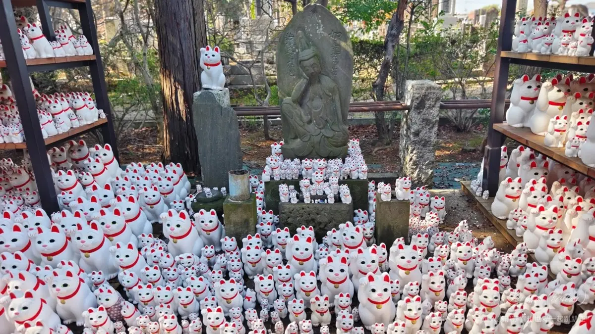 來這發財保平安!東京「招財貓發源地」免費拍到飽,還能請回台灣旺家運 來這發財保平安!東京「招財貓發源地」免費拍到飽,還能請回台灣旺家運