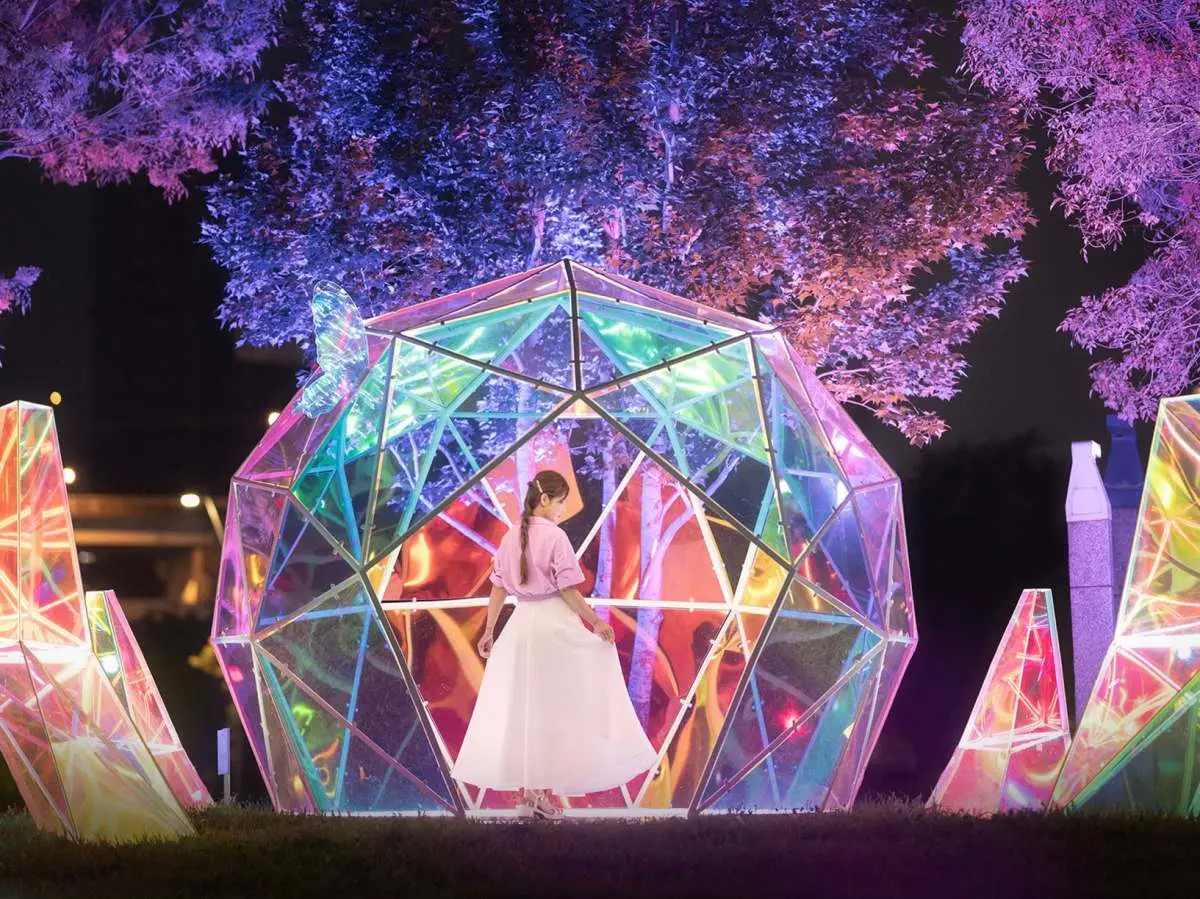 免費拍女神級美照！新北最大公園變「花花世界」，鑽石花園、６米高熊熊美翻