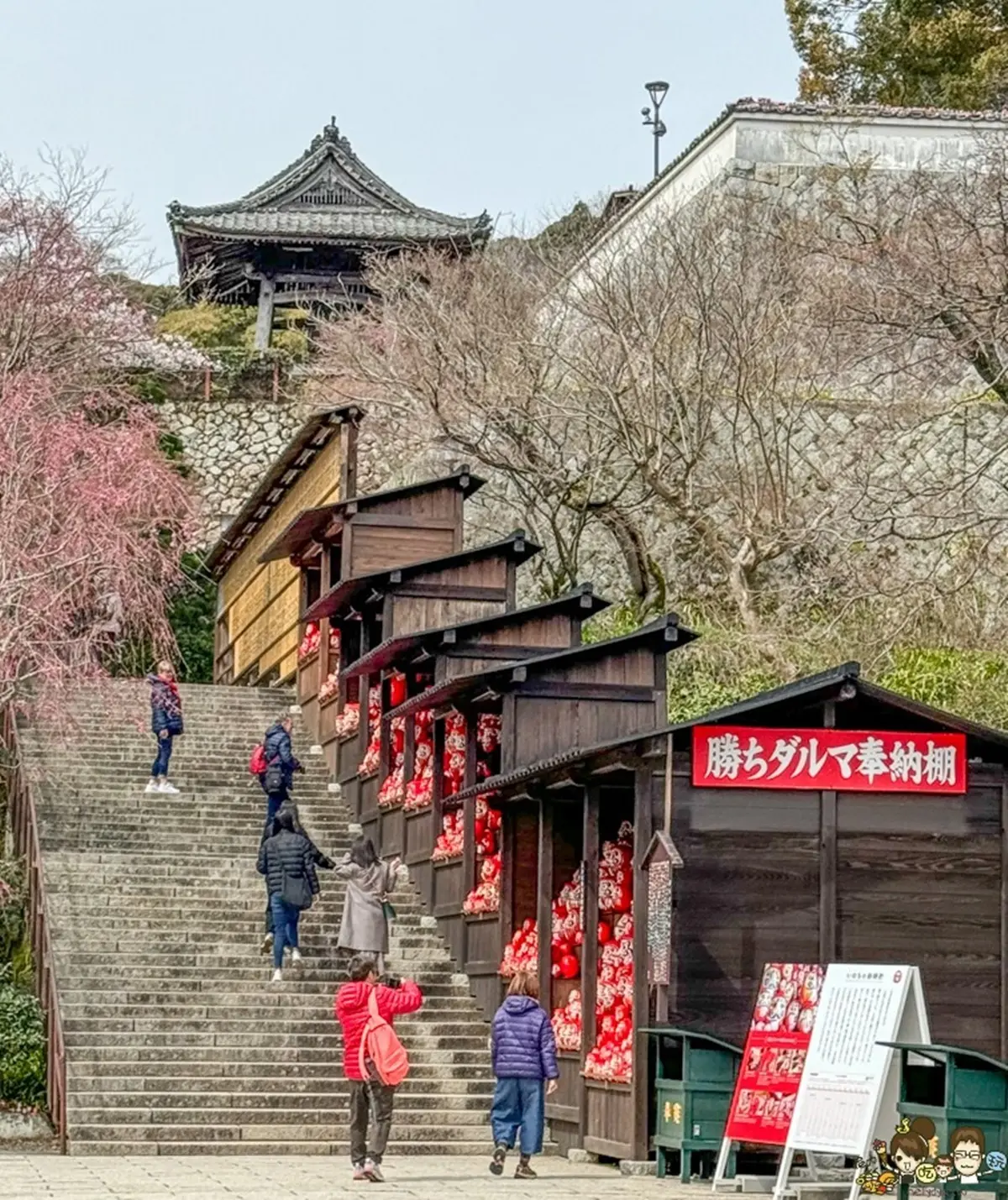 整座山壁擺滿不倒翁!大阪隱藏版賞楓必遊景點,必抽達摩籤試手氣 整座山壁擺滿不倒翁!大阪隱藏版賞楓必遊景點,必抽達摩籤試手氣