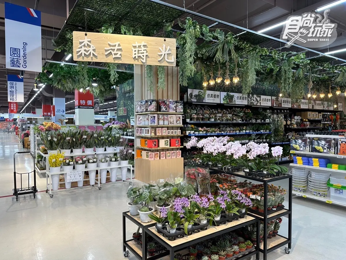 家樂福中原店「強勢回歸」升級3000坪！進駐遊樂場、酒條通，８亮點搶先看