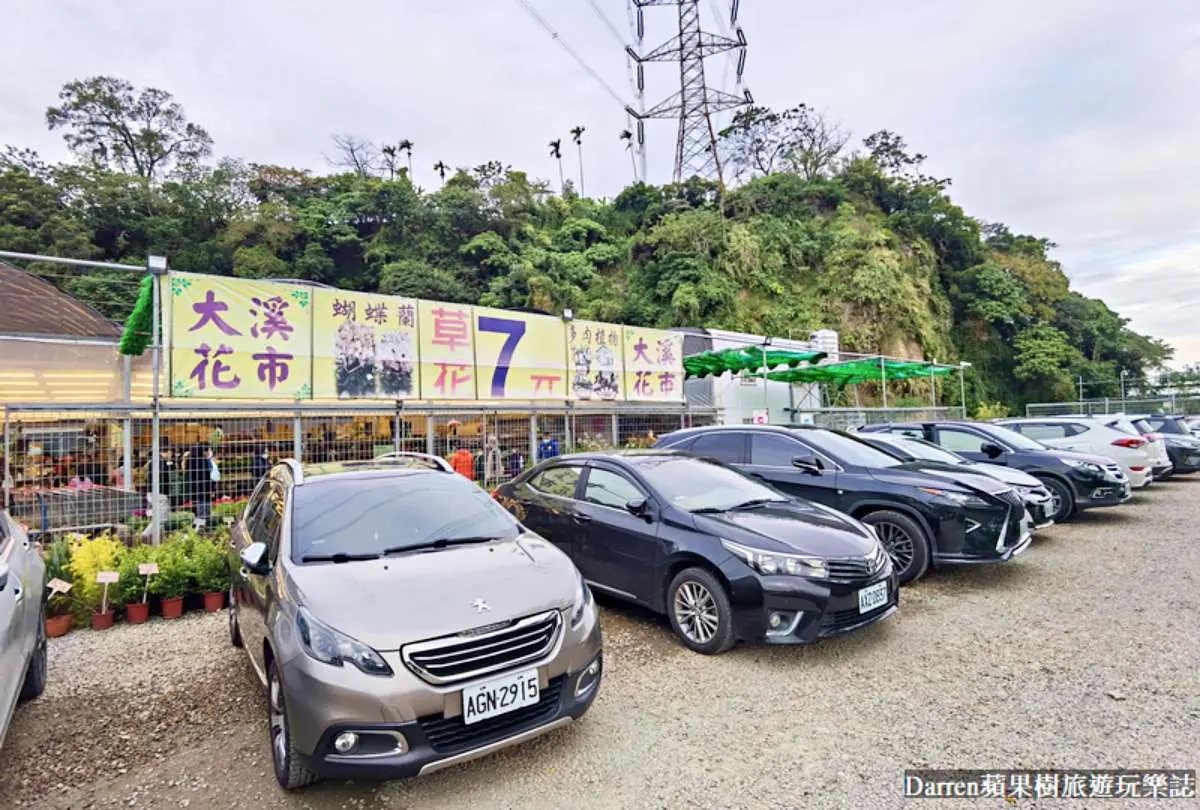 盆栽最低僅７元！桃園鄉民激推「平價花市」地點曝，多肉植物買４送１好划算