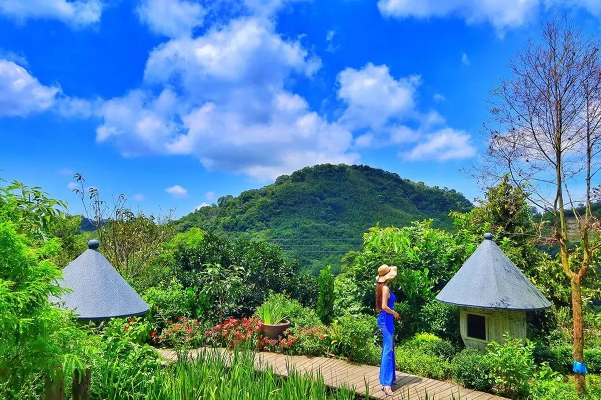 苗栗山林的桃花源！住老穀倉花草仙境拍到飽、還有全透明網美泡泡露營
