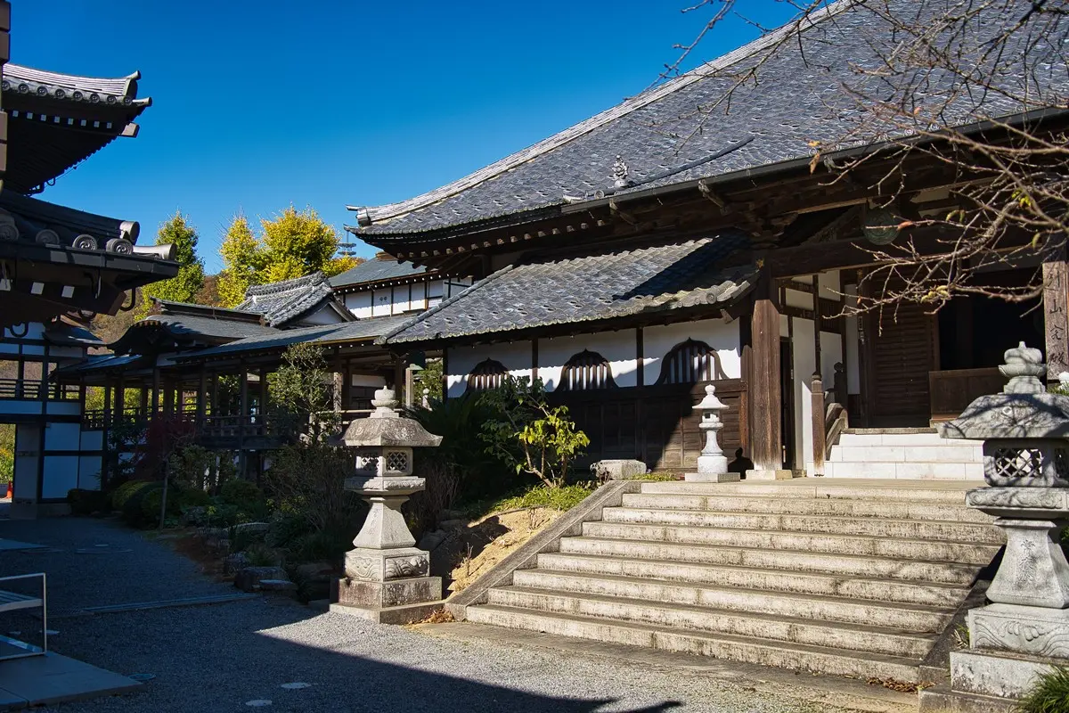 整個池面都是繡球花!觀音寺竟藏IG暴紅美景,還有夜間燈光秀快衝 整個池面都是繡球花!觀音寺竟藏IG暴紅美景,還有夜間燈光秀快衝