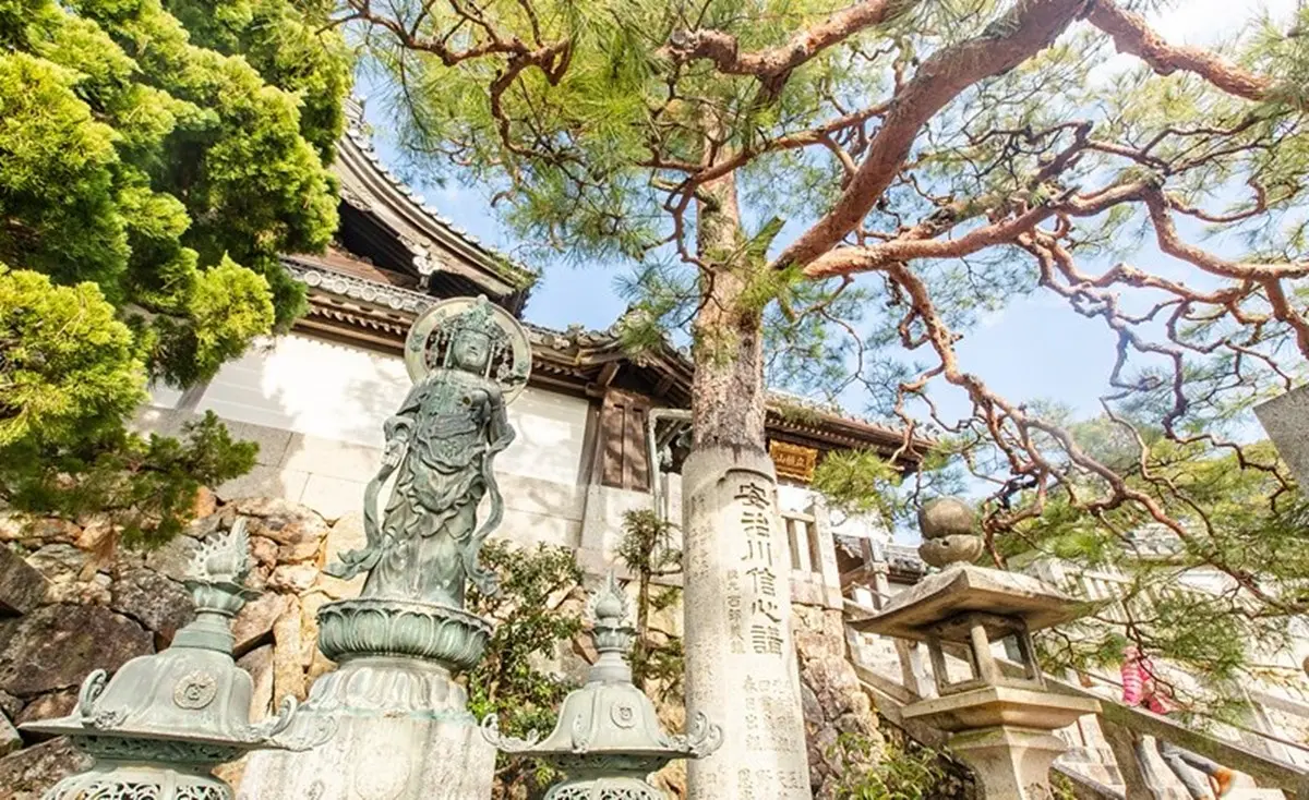 京都「繡球花寺」必朝聖!洗手池飄滿絢爛花球,還有5千株繡球讓你拍到飽 京都「繡球花寺」必朝聖!洗手池飄滿絢爛花球,還有5千株繡球讓你拍到飽