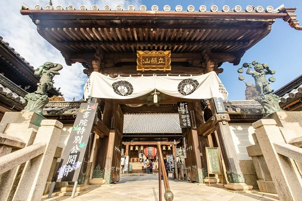 京都「繡球花寺」必朝聖!洗手池飄滿絢爛花球,還有5千株繡球讓你拍到飽 京都「繡球花寺」必朝聖!洗手池飄滿絢爛花球,還有5千株繡球讓你拍到飽