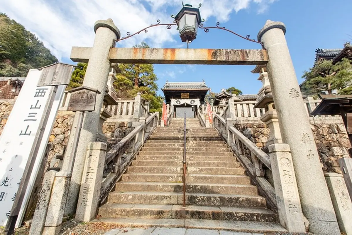 京都「繡球花寺」必朝聖!洗手池飄滿絢爛花球,還有5千株繡球讓你拍到飽 京都「繡球花寺」必朝聖!洗手池飄滿絢爛花球,還有5千株繡球讓你拍到飽