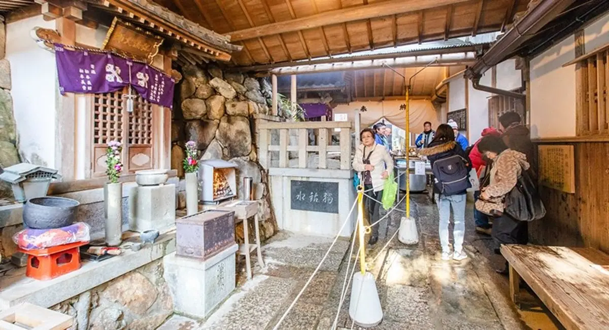 京都「繡球花寺」必朝聖!洗手池飄滿絢爛花球,還有5千株繡球讓你拍到飽 京都「繡球花寺」必朝聖!洗手池飄滿絢爛花球,還有5千株繡球讓你拍到飽