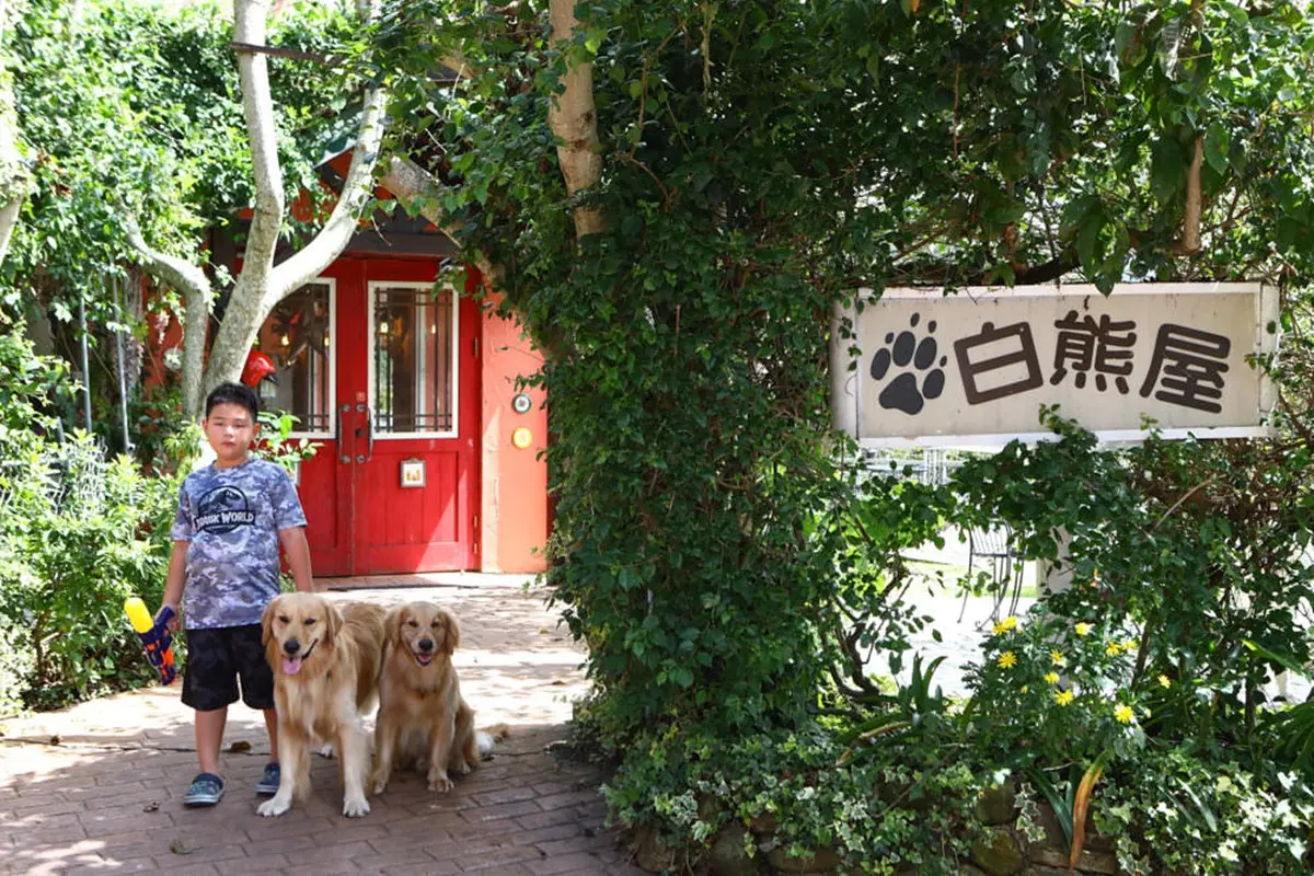 環繞式玻璃屋山景超震撼！清境歐風民宿IG暴紅，還有絕美星空露營帳