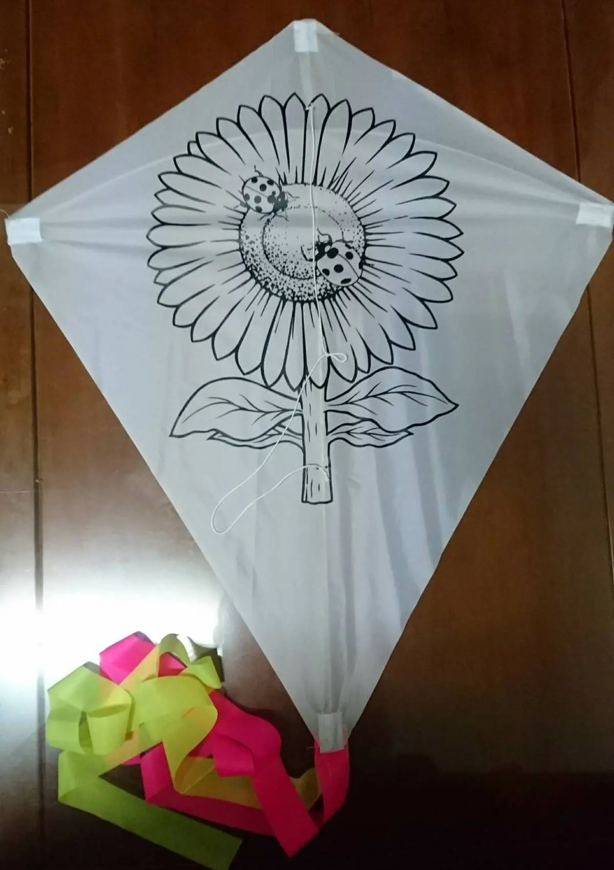 錯過等明年！「2024宜蘭風箏嘉年華」只有２天，秒殺級「風箏彩繪」搶報名