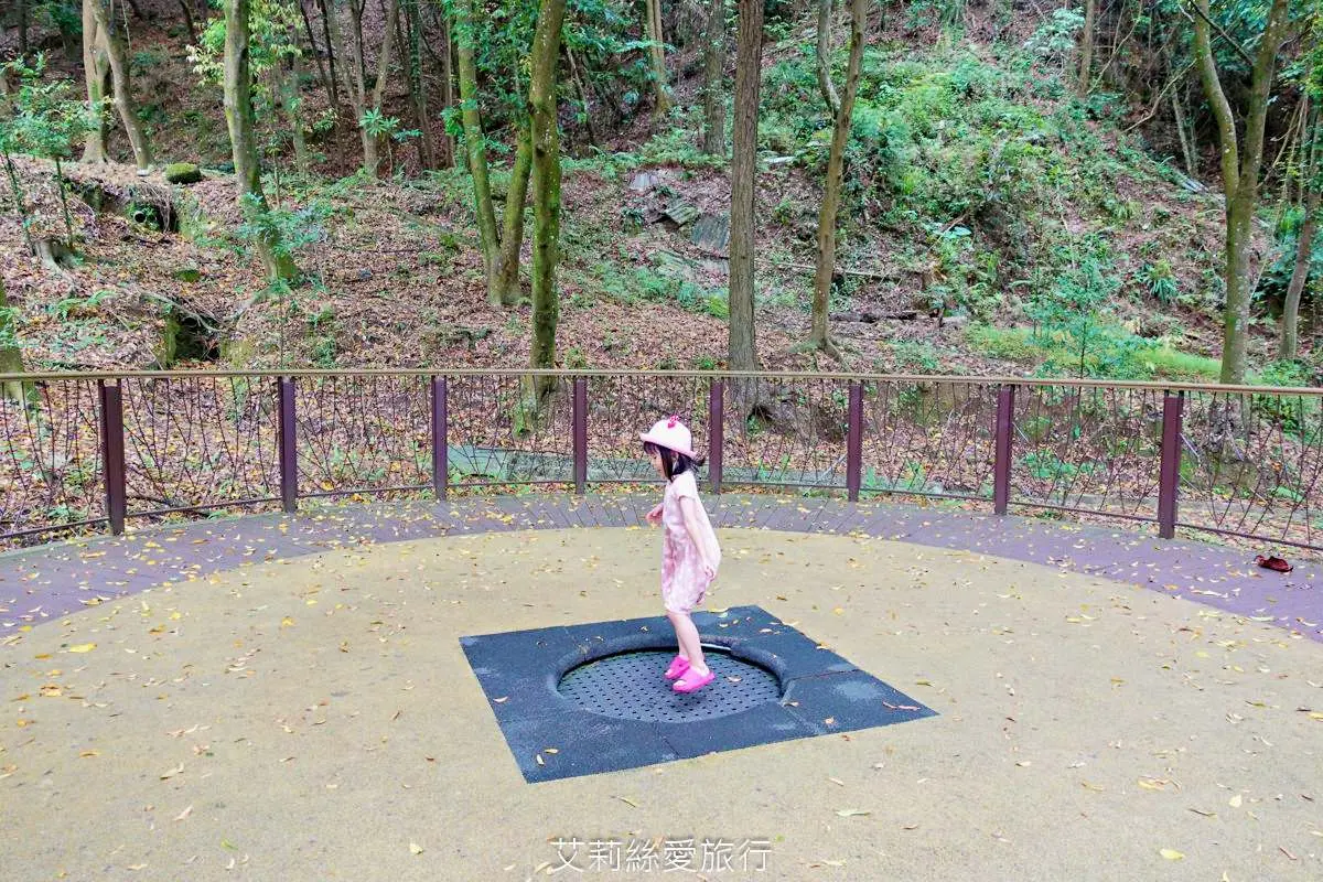 破萬坪「森林遊樂場」在這!獨木橋、跳跳床玩完回家秒睡,還能泡腳、走步道 破萬坪「森林遊樂場」在這!獨木橋、跳跳床玩完回家秒睡,還能泡腳、走步道