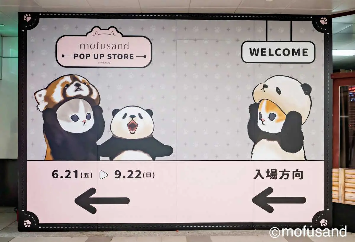 鯊魚、炸蝦貓可愛瘋！「貓福珊迪」高雄快閃店搶拍８打卡點，百款周邊超欠買