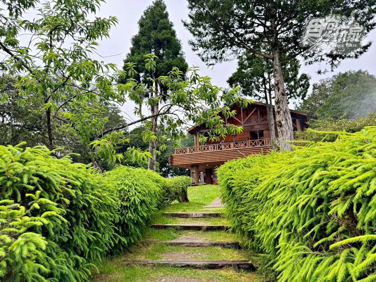 阿里山最美火車「這天」啟航!福森號遊程4亮點:九宮格質感餐盒、品茶體驗 阿里山最美火車「這天」啟航!福森號遊程4亮點:九宮格質感餐盒、品茶體驗