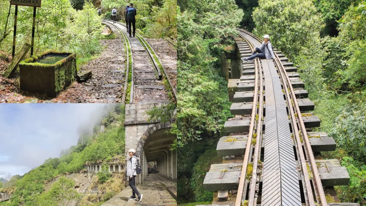 挑戰「全台最美鐵路步道」！祕境鐵橋、隧道仙氣爆棚，申請流程、路線一次看