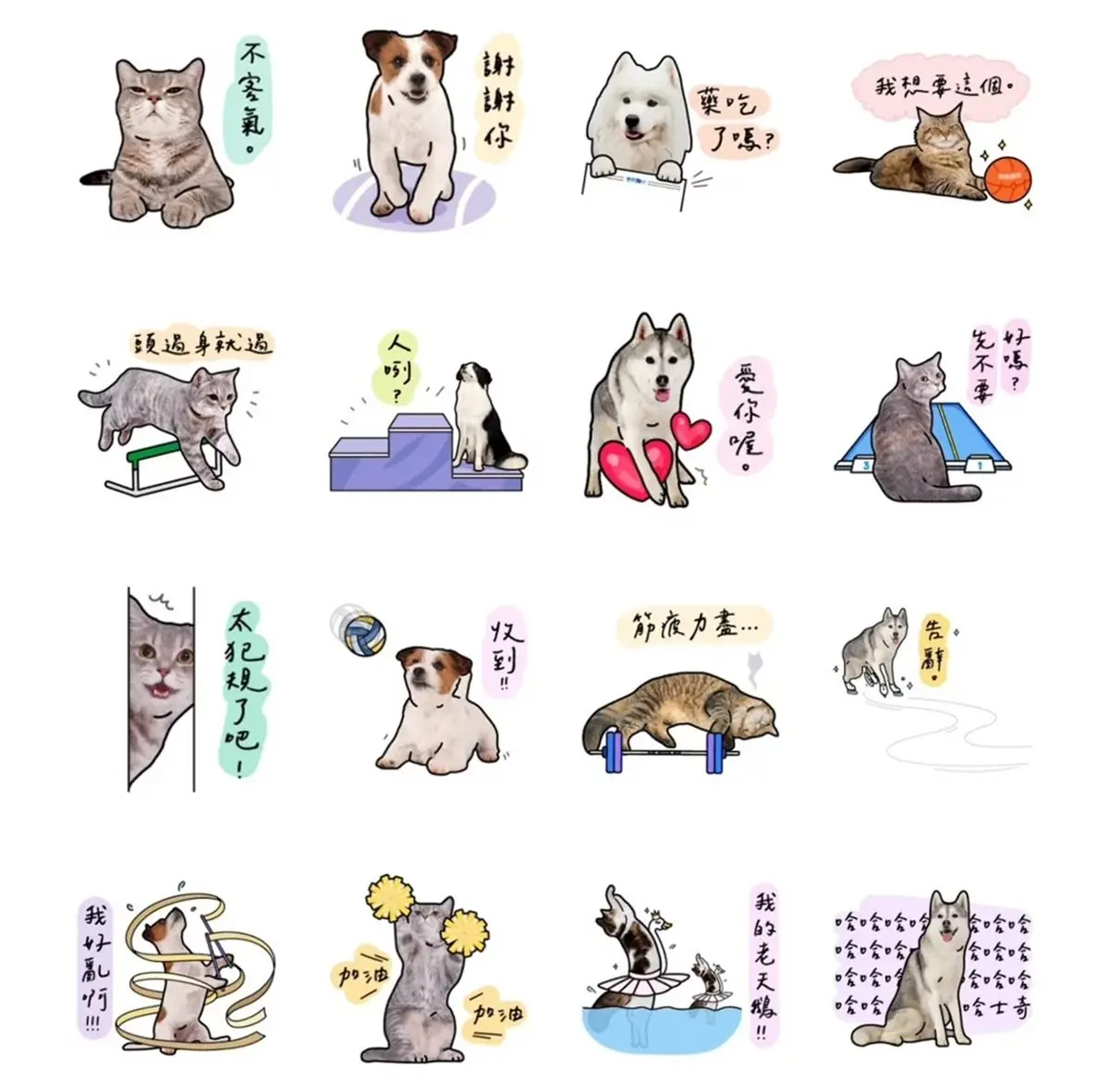 8月貼圖10款免費下載!奧運必備、情人節放閃款,還能「自由填文字」超實用 8月貼圖10款免費下載!奧運必備、情人節放閃款,還能「自由填文字」超實用