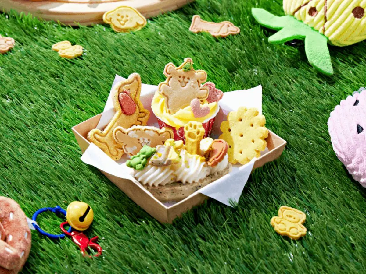 台中草悟道化身毛孩天堂!9大創新設計+限定活動:寵物快閃市集、共享推車 台中草悟道化身毛孩天堂!9大創新設計+限定活動:寵物快閃市集、共享推車