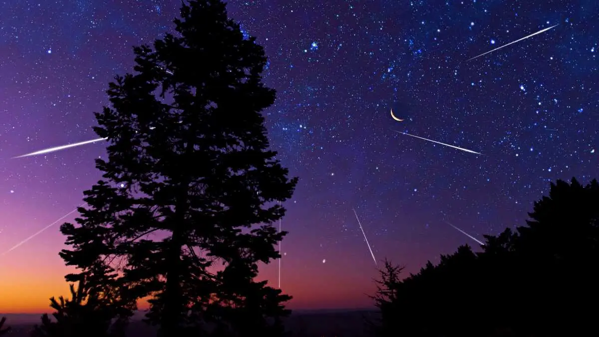 錯過再等１年！2024英仙座流星雨「這２天」極大期最美，免費逛２大星空活動