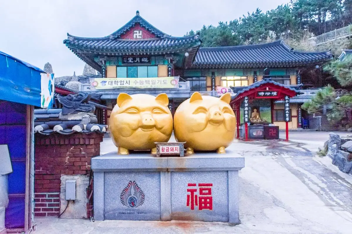 每天財運滾滾來!台日韓「招財動物」好驚奇,被韓國人稱「這動物」竟是讚美 每天財運滾滾來!台日韓「招財動物」好驚奇,被韓國人稱「這動物」竟是讚美