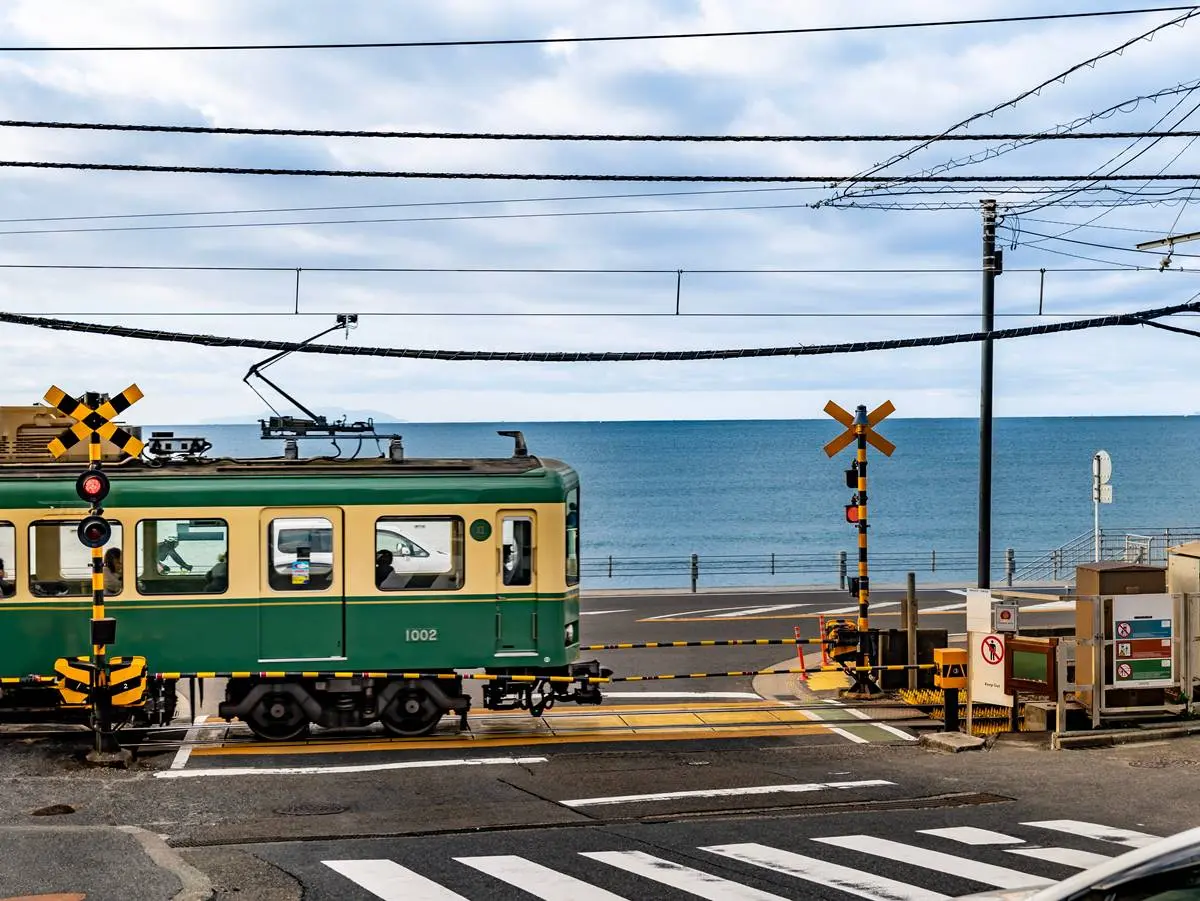 沒做「６件事」別說去過日本！旅日逾10次達人票選：最美賞楓地、這裡餵海鷗