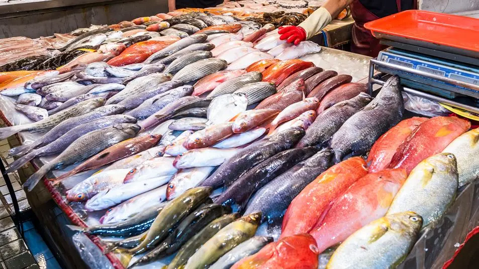 鮪魚也上榜!醫師曝「這些魚」重金屬含量高,吃太多恐加速失智