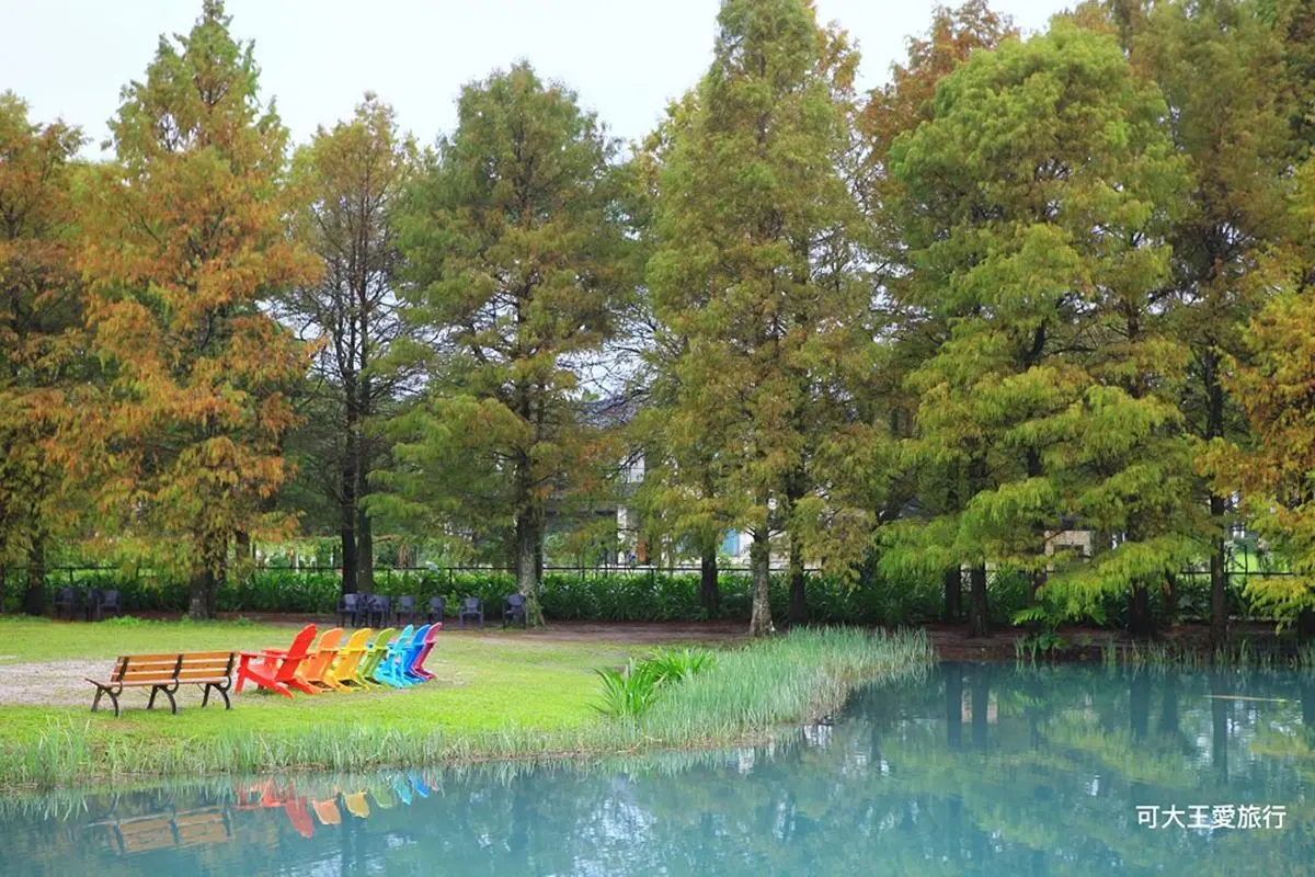 「雲山水夢幻湖」遊園攻略!落羽松祕境、跳石瀑布必打卡,門票、住宿一次看 「雲山水夢幻湖」遊園攻略!落羽松祕境、跳石瀑布必打卡,門票、住宿一次看