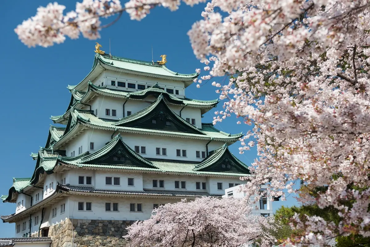星宇全線85折!4大航空線上旅展優惠,國泰飛東京2人打8折 星宇全線85折!4大航空線上旅展優惠,國泰飛東京2人打8折