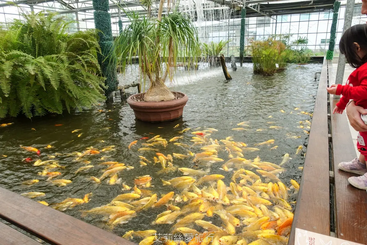 宜蘭礁溪景點TOP25:戶外秘境、親子景點、室內美拍植物園,一日遊景點推薦 宜蘭礁溪景點TOP25:戶外秘境、親子景點、室內美拍植物園,一日遊景點推薦