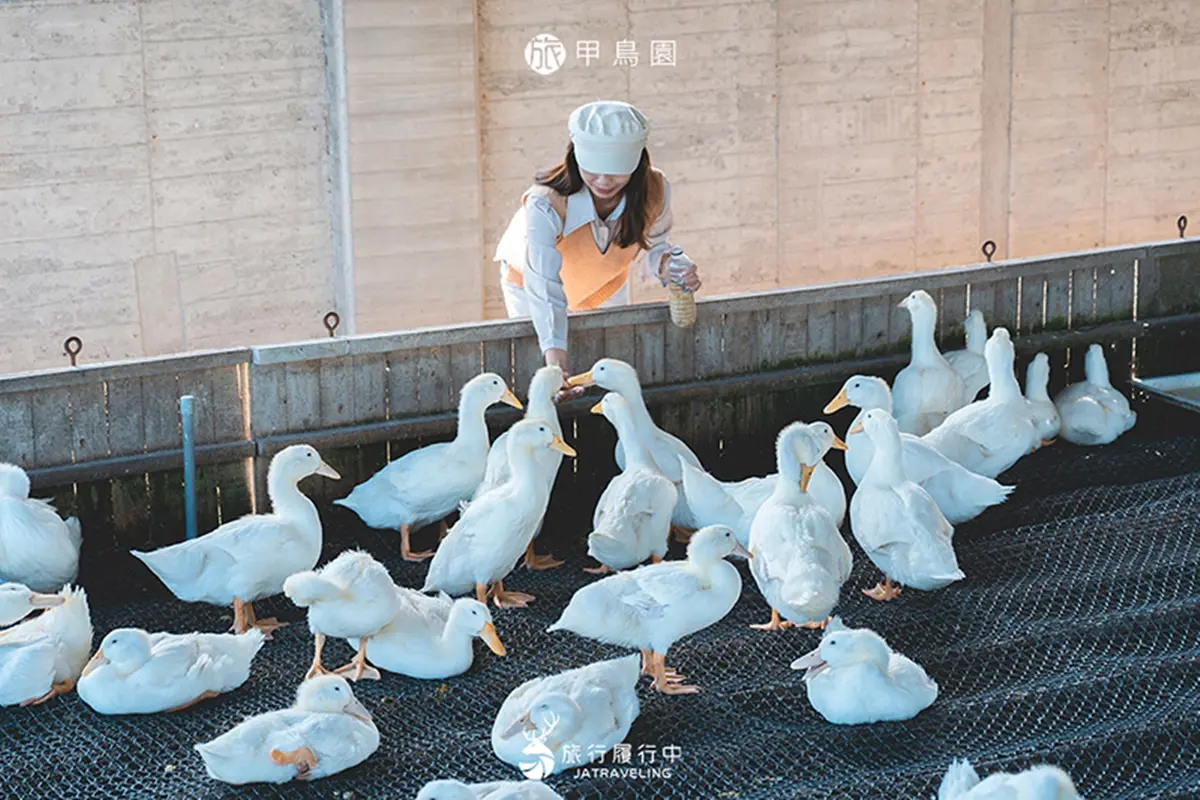 宜蘭礁溪景點TOP25:戶外秘境、親子景點、室內美拍植物園,一日遊景點推薦 宜蘭礁溪景點TOP25:戶外秘境、親子景點、室內美拍植物園,一日遊景點推薦