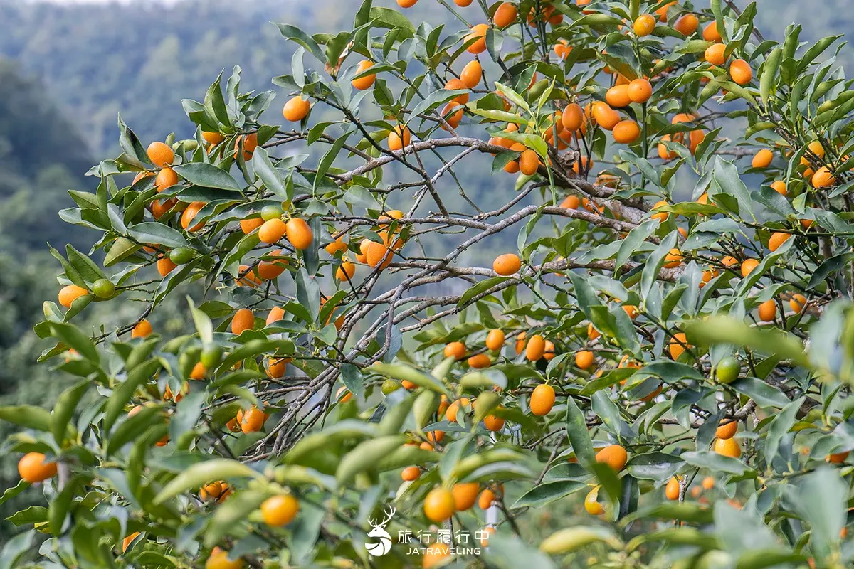 宜蘭礁溪景點TOP25:戶外秘境、親子景點、室內美拍植物園,一日遊景點推薦 宜蘭礁溪景點TOP25:戶外秘境、親子景點、室內美拍植物園,一日遊景點推薦