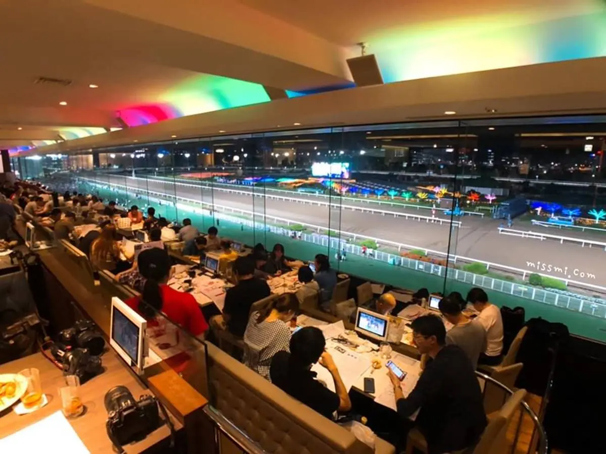 東京另類時尚景點!看賽馬邊嗑「吃到飽」,夜間夢幻「馬道燈光秀」也必看 東京另類時尚景點!看賽馬邊嗑「吃到飽」,夜間夢幻「馬道燈光秀」也必看