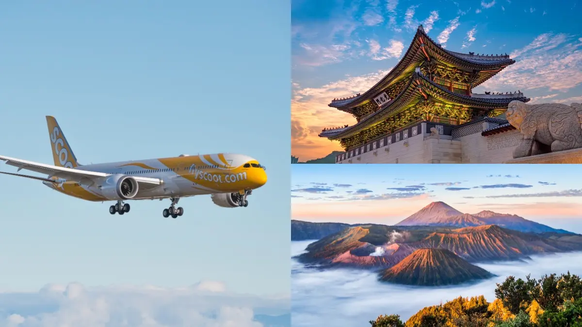 搶明年便宜機票!酷航週年慶優惠「只到這天」,飛東京3199元起